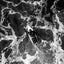 js1bs0006_wsh_2